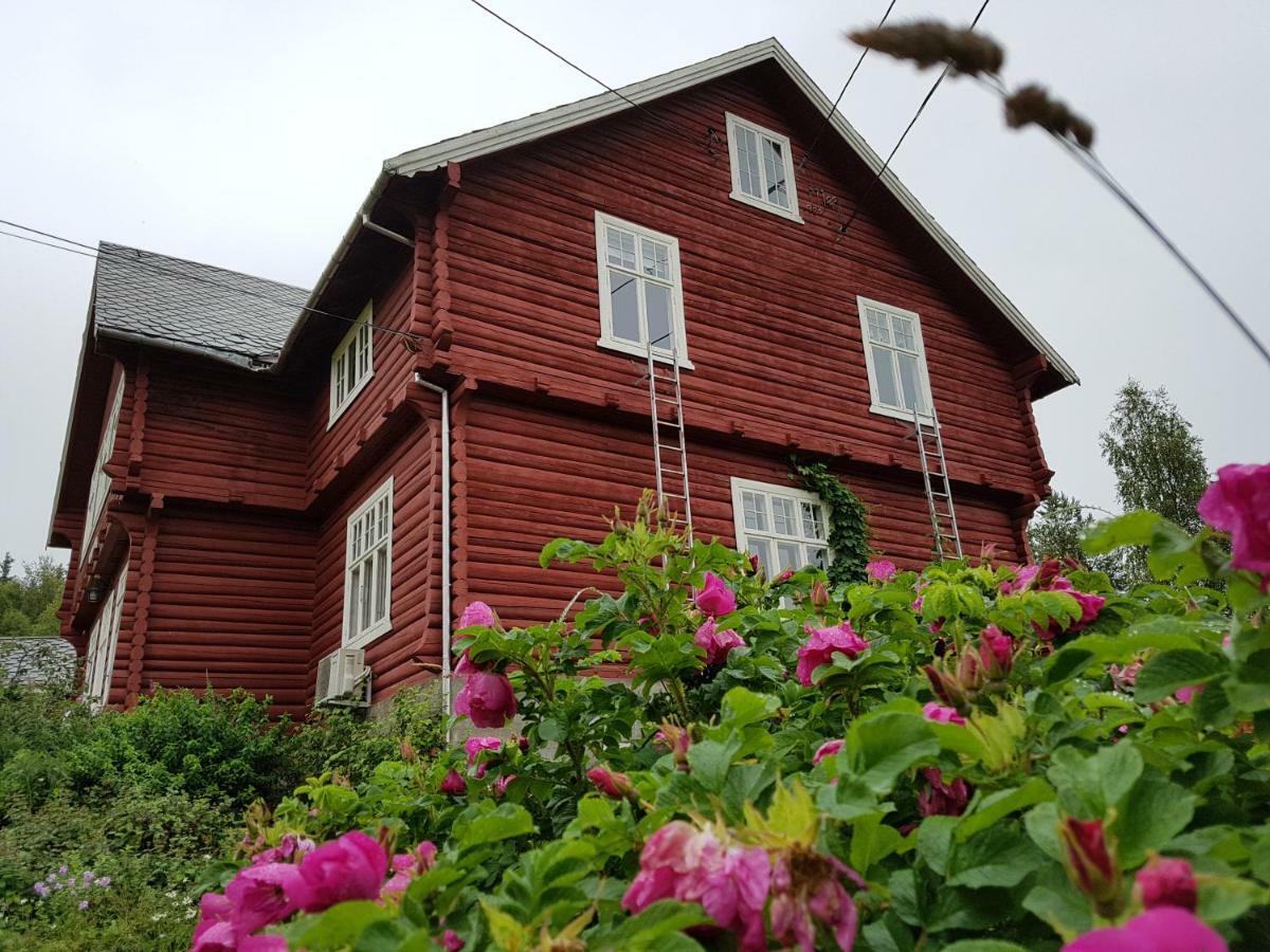 Haugtun Gardspensjonat Og Leiligheter Nordre Land Exterior photo